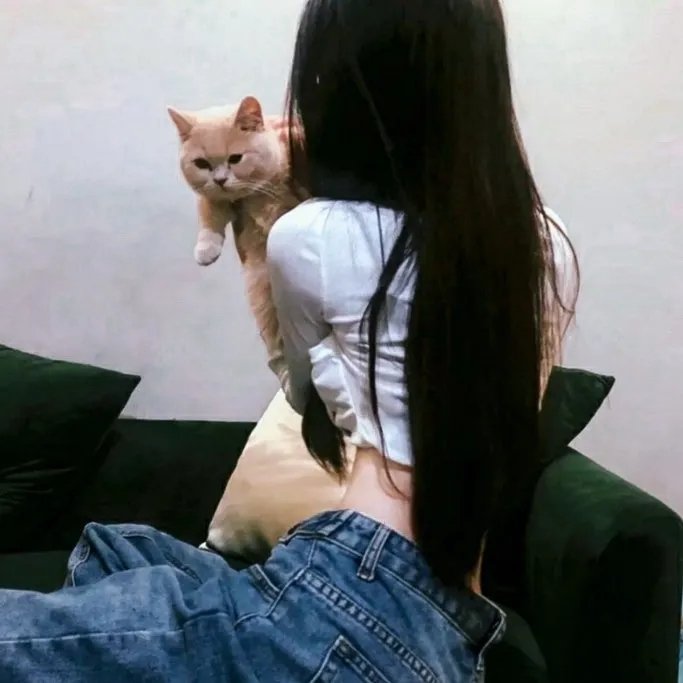 黑光行动